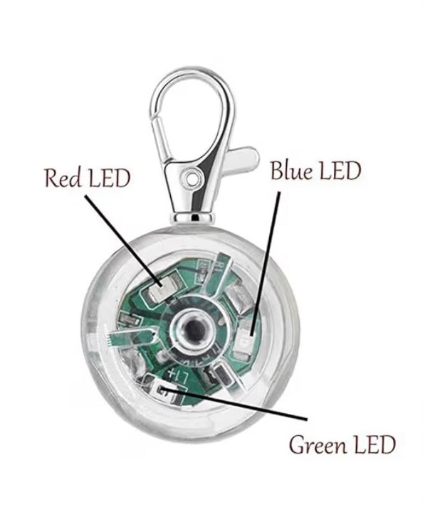Boru's Collar Light