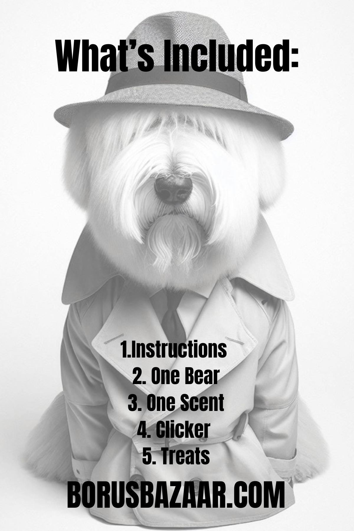 Inspector Boru’s NOVICE Scent Search Game