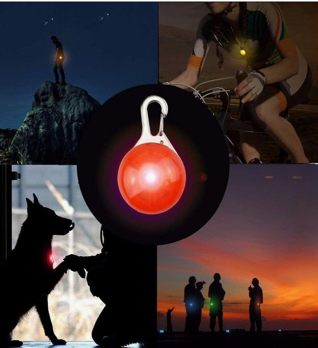 Boru's Collar Light